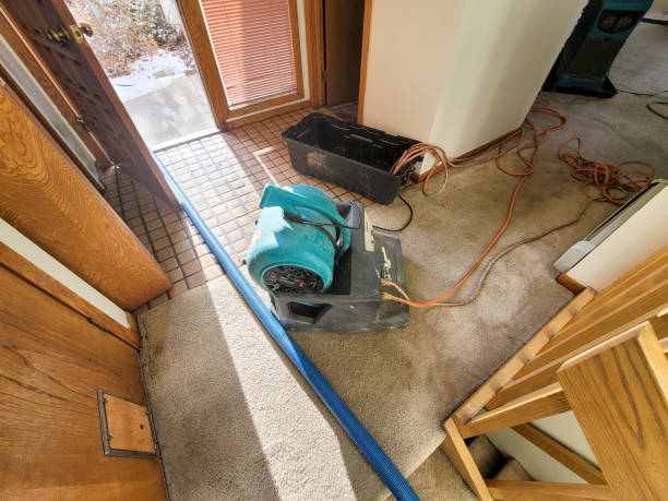  Kennett, MO Water damage restoration Pros