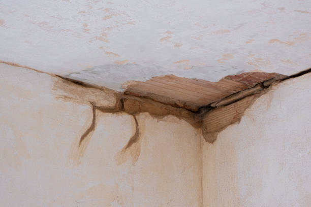 Best 24-hour water damage restoration  in Kennett, MO