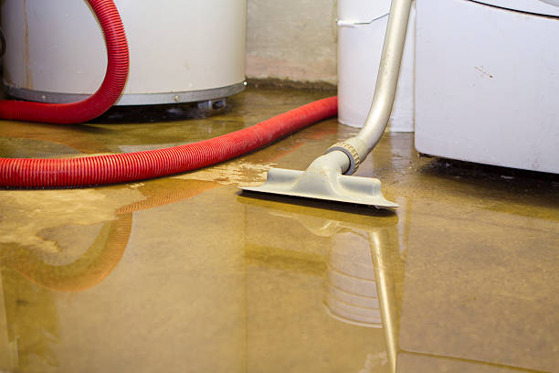 Best Flood restoration services  in Kennett, MO