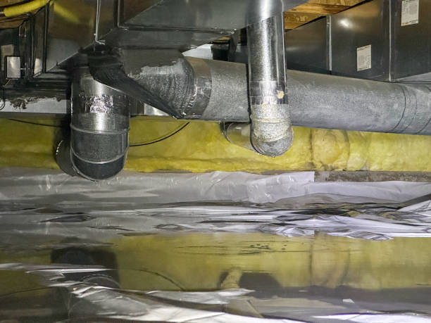 Best Local water damage restoration  in Kennett, MO
