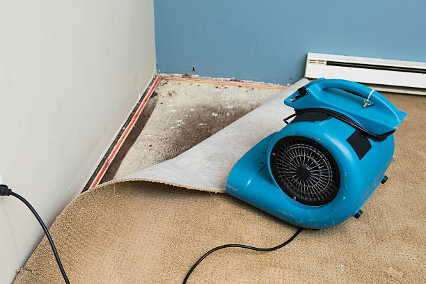Best Residential water damage restoration  in Kennett, MO